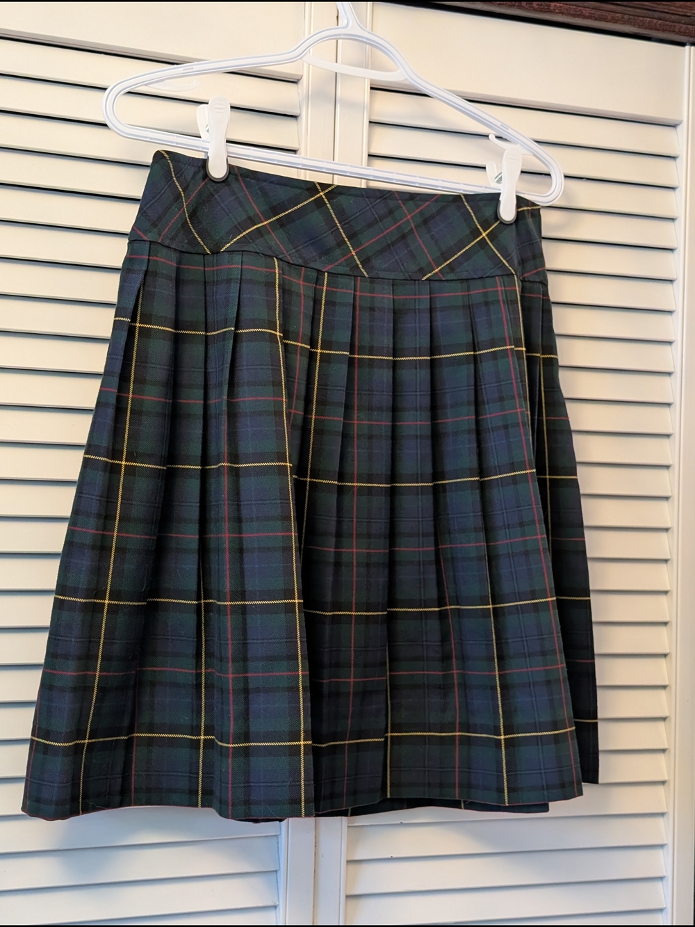 Plaid Pleated Schoolgirl Skirt in Green and Navy